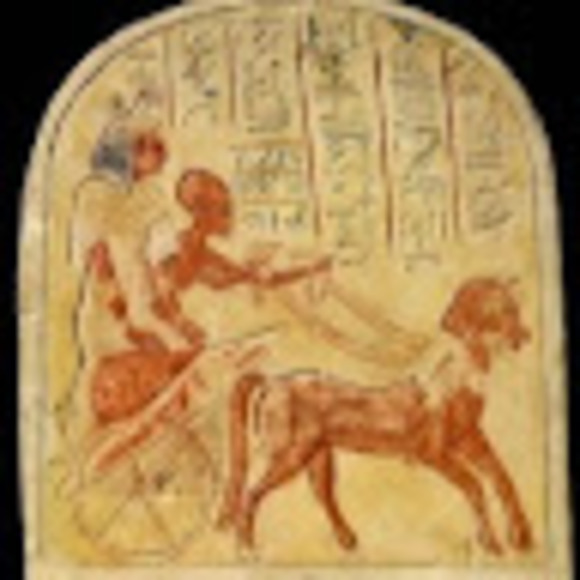 Meet your Posher, Twyla - Picture 1 of 1